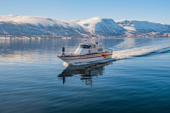 Fjord Safari in the Altafjord - Reaching the entrance to Langfjord