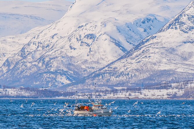 Fjord Safari in the Altafjord - A warm cabin, hot drinks, and simple comforts
