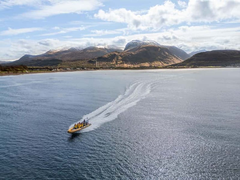 Fort William: 1hr Loch Safari Speedboat Tour - Why this one-hour trip works so well in Fort William