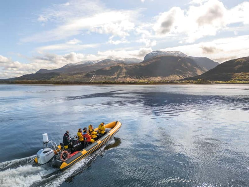 Fort William: 1hr Loch Safari Speedboat Tour - Leaving West End Car Park Pontoons