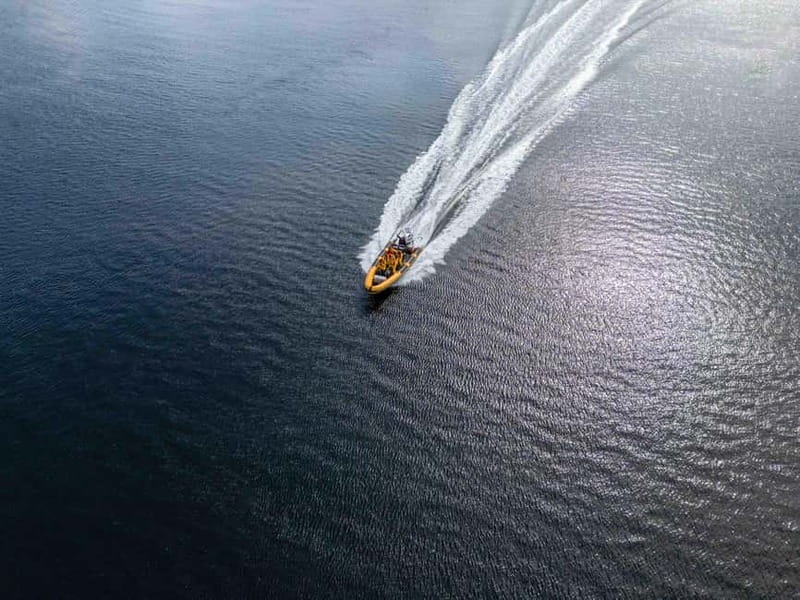 Fort William: 1hr Loch Safari Speedboat Tour - Speed runs, turns, and the ride itself