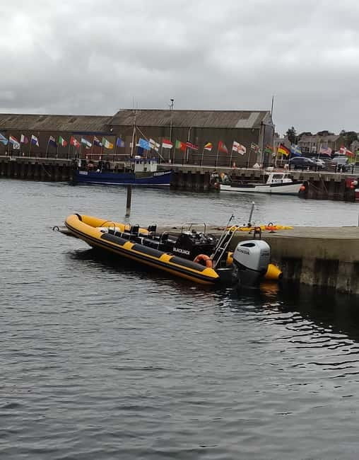 Fort William: 1hr Loch Safari Speedboat Tour - Is $47 good value for one hour?
