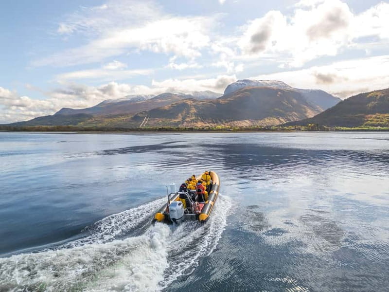 Fort William: 1hr Loch Safari Speedboat Tour - Corpach, Loch Eil, and the Ben Nevis view