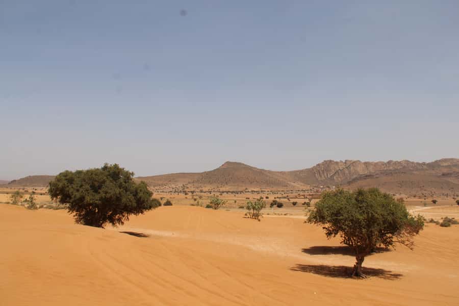 From Agadir: 4×4 Sahara Desert Safari with Lunch and Pickup - Who should book this trip