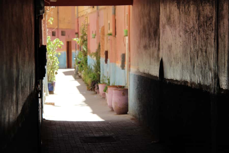 From Agadir: 4×4 Sahara Desert Safari with Lunch and Pickup - Oued Massa and the Souss-Massa National Park