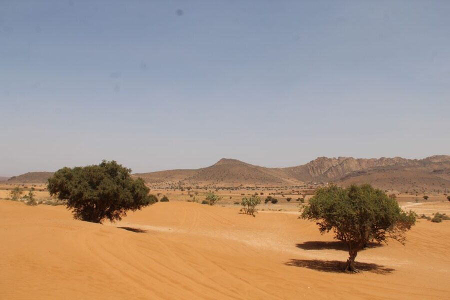 From Agadir: 4×4 Sahara Desert Safari with Lunch and Pickup - The guide can shape the whole day