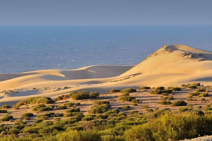 From Agadir: Jeep Desert Safari with Lunch and Camel Ride - The guide can shape the whole experience