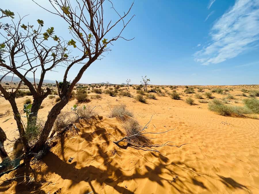 From Agadir: Jeep Desert Safari with Lunch and Camel Ride - A wide-ranging day from Agadir to the mini Sahara
