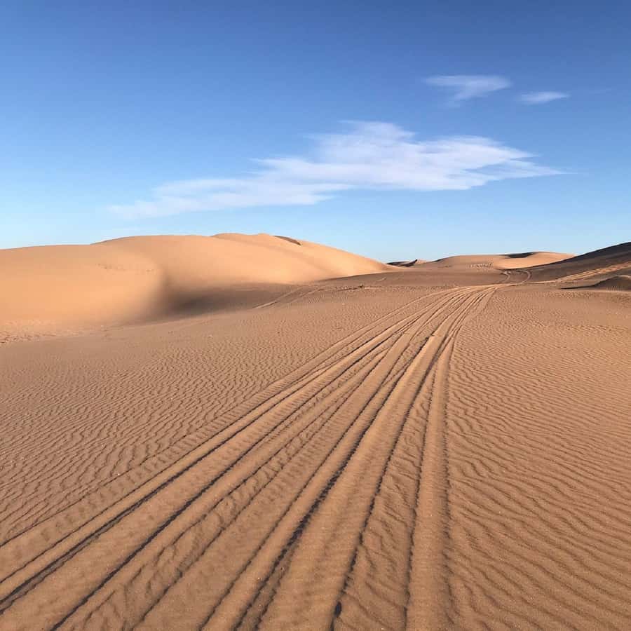 From Agadir: Jeep Desert Safari with Lunch and Camel Ride - The Atlantic coast and the fishermen’s caves