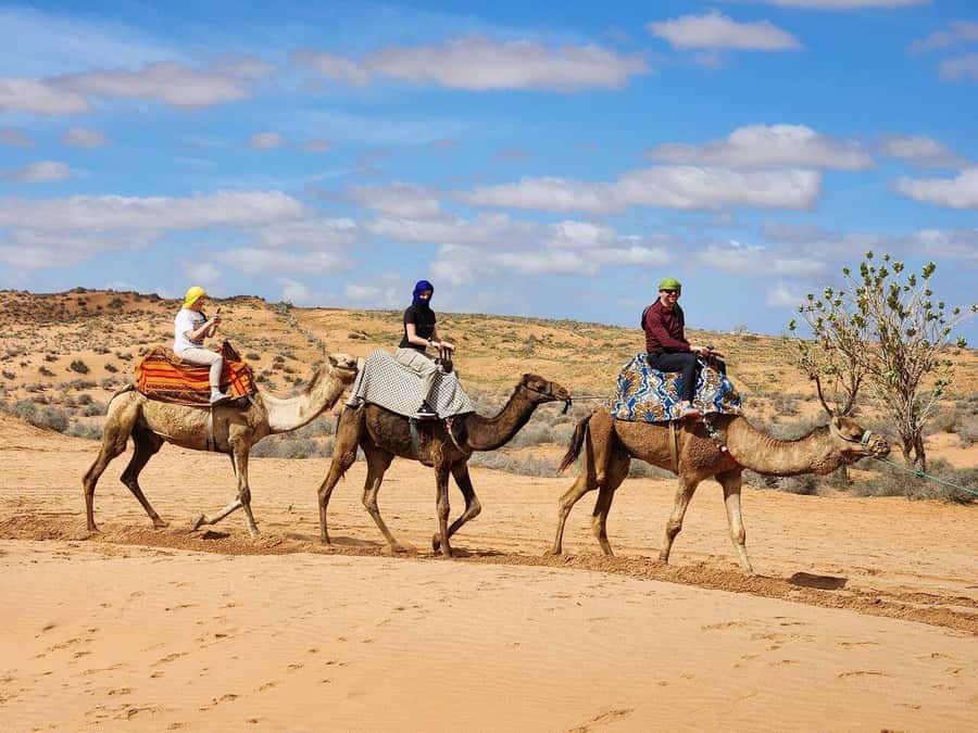 From Agadir: Jeep Desert Safari with Lunch and Camel Ride - Massa National Park and the Sous River