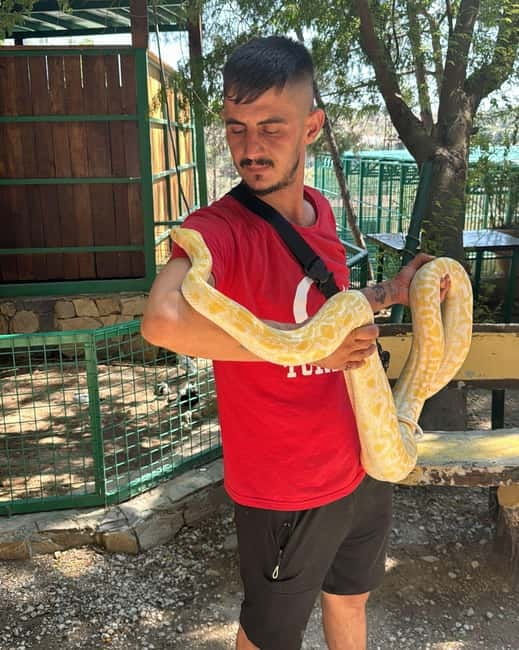 From Alanya: Lion Safari & Green Canyon Splash Feast w/Lunch - Key points at a glance