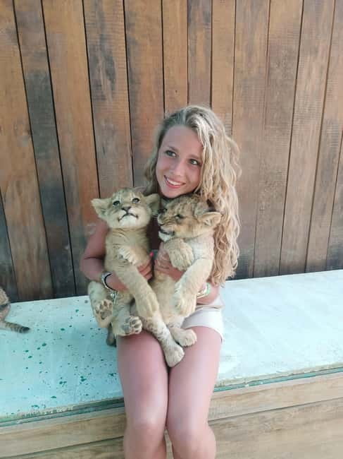 From Alanya: Lion Safari & Green Canyon Splash Feast w/Lunch - The 45-minute lion safari