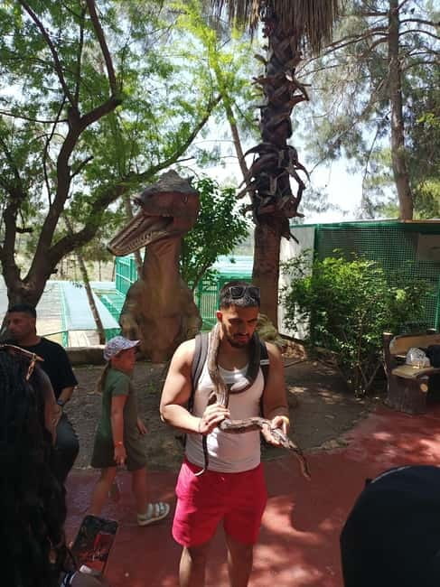 From Alanya: Lion Safari & Green Canyon Splash Feast w/Lunch - What the $27 price really covers