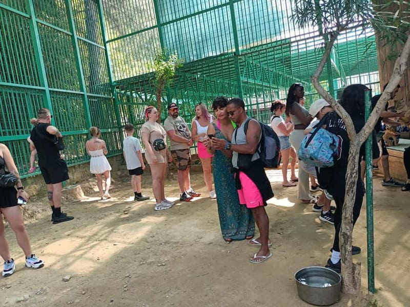 From Alanya: Lion Safari & Green Canyon Splash Feast w/Lunch - Who will enjoy this day most
