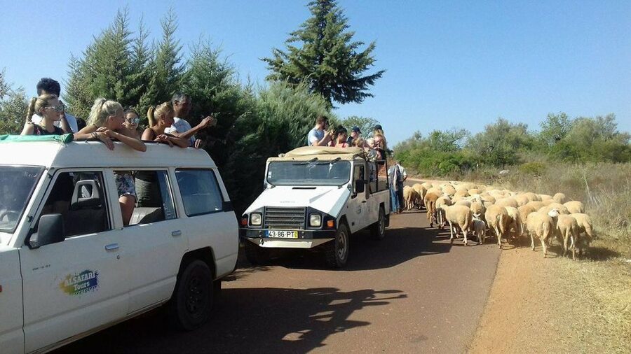 From Albufeira: 4x4 Off-Road Safari & Vineyard Wine Tasting - The winery visit and how the tasting works