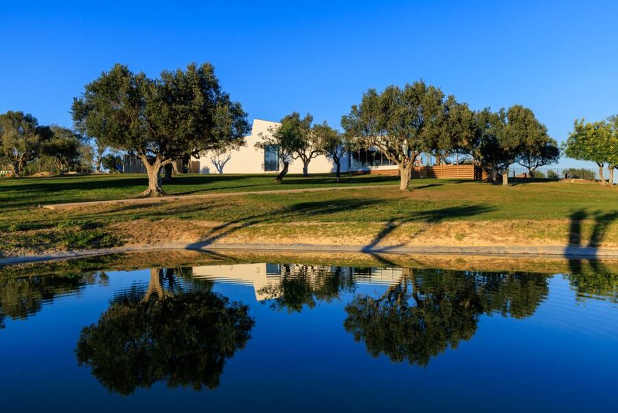 From Albufeira: 4x4 Off-Road Safari & Vineyard Wine Tasting - Four hours that feel varied