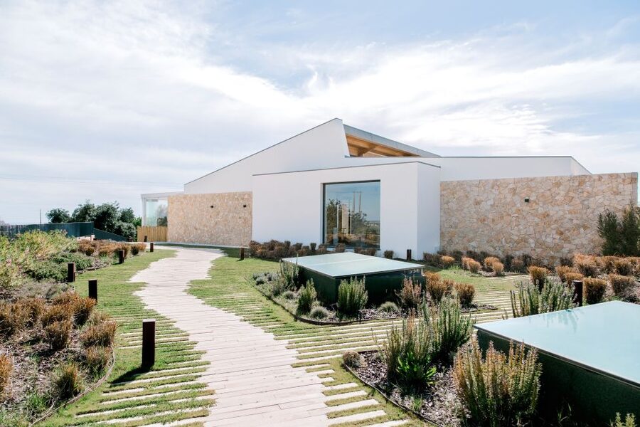 From Albufeira: 4x4 Off-Road Safari & Vineyard Wine Tasting - The unexpected stop for local produce