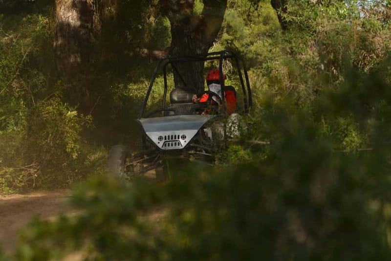 From Antalya: Desert Buggy Safari Near the City Center - Key points to know before you book