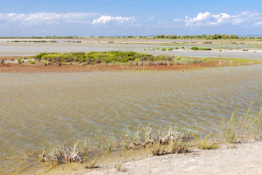 From Arles: Half-Day 4x4 Camargue Safari - Saintes Maries de la Mer adds a village stop