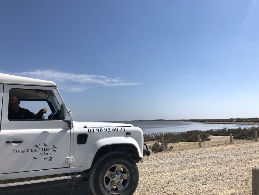 From Arles: Half-Day 4x4 Camargue Safari - Price, comfort, and practical details