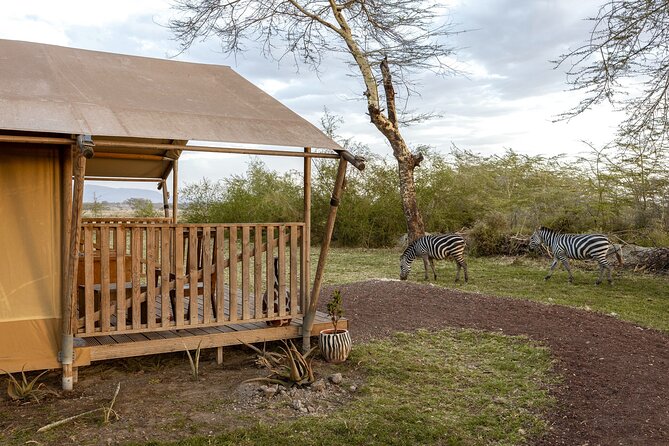 From Arusha: 7 Days Classic Safari Central Northern Circuit - Day 2: A welcome pause in the Manyara area