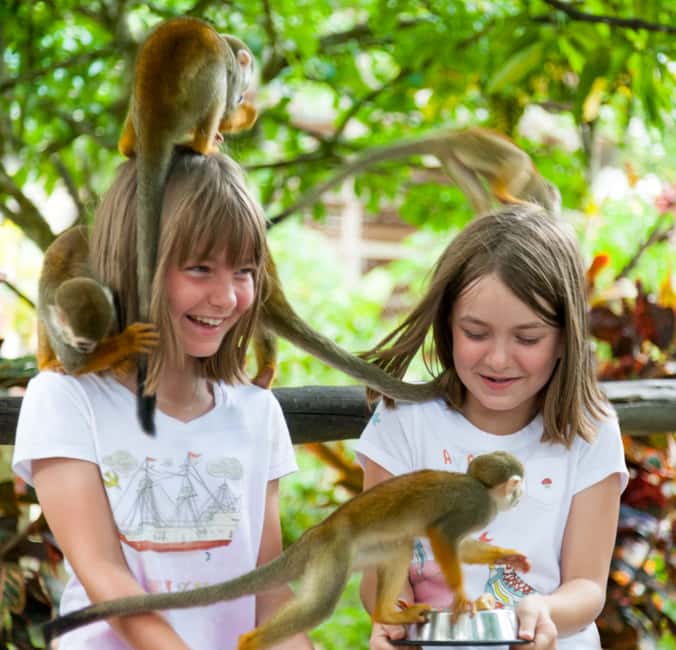 From Bayahibe: Half Day Monkeyland Safari - The open-air ride from Bayahibe