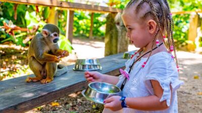 From Bayahibe: Half Day Monkeyland Safari