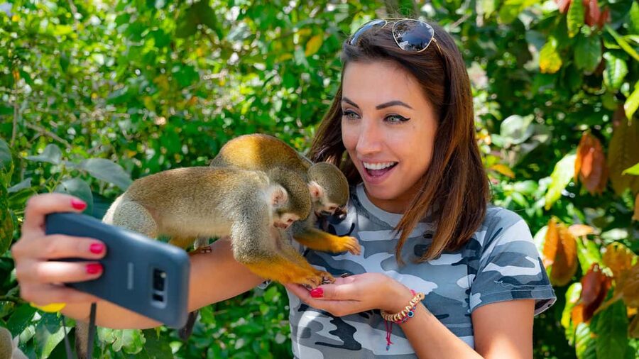 From Bayahibe: Half Day Monkeyland Safari - Guides, language, and group comfort