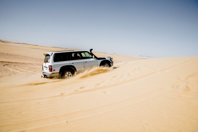 From Cairo 4x4 Safari, Camel Ride, Magic Lake, Waterfalls & Lunch - The first stop at Qarun Lake