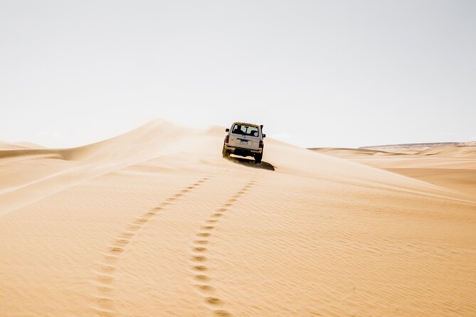 From Cairo: Desert Safari, Waterfalls, Sand boarding and Camel ride with Lunch - Why Wadi El Rayan makes a good break from Cairo
