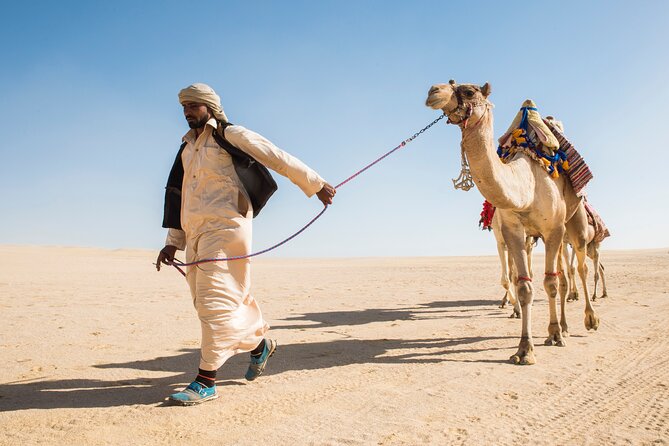 From Cairo: Desert Safari, Waterfalls, Sand boarding and Camel ride with Lunch - The drive from Cairo can shape your whole day
