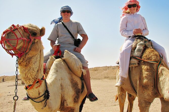 From Cairo: Desert Safari, Waterfalls, Sand boarding and Camel ride with Lunch - The Bedouin camp lunch is part of the value