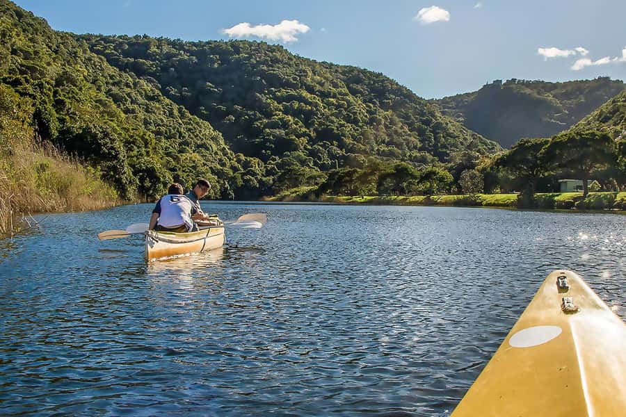 From Cape Town: 3-Day Garden Route Highlights and 4x4 Safari - The elephant option adds a slower morning