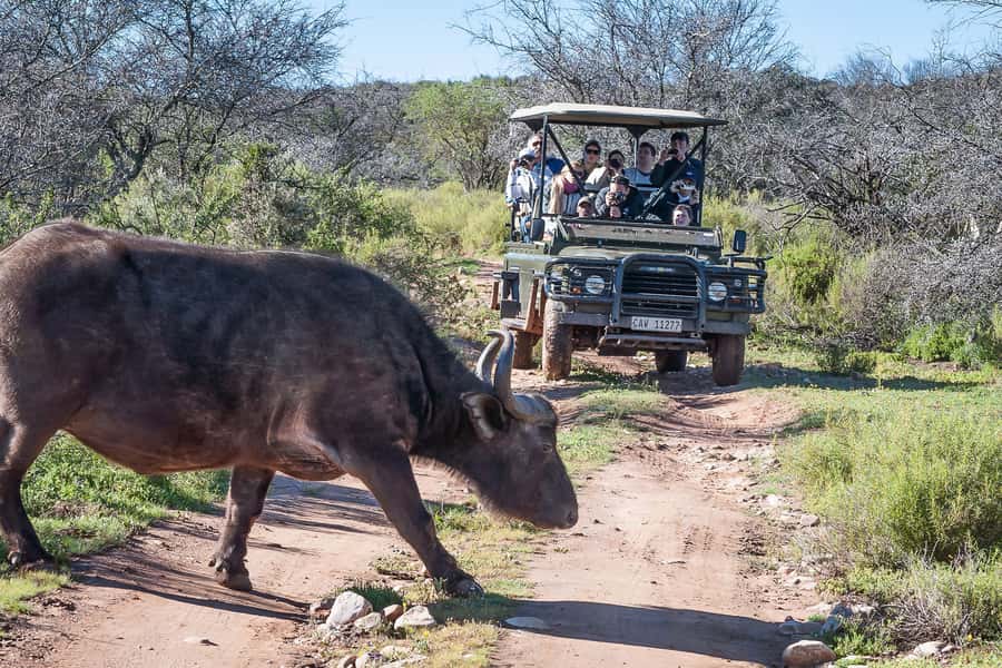 From Cape Town: 3-Day Garden Route Highlights and 4x4 Safari - Canoeing near Wilderness is the calmest activity