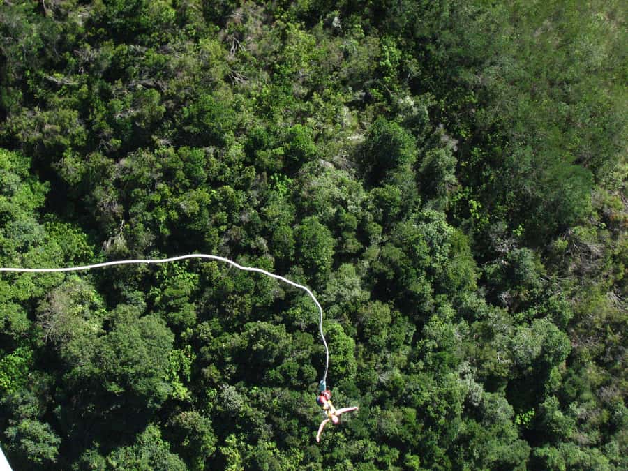 From Cape Town: 3-Day Garden Route Highlights and 4x4 Safari - Bloukrans Bridge supplies the day’s shock of adrenaline