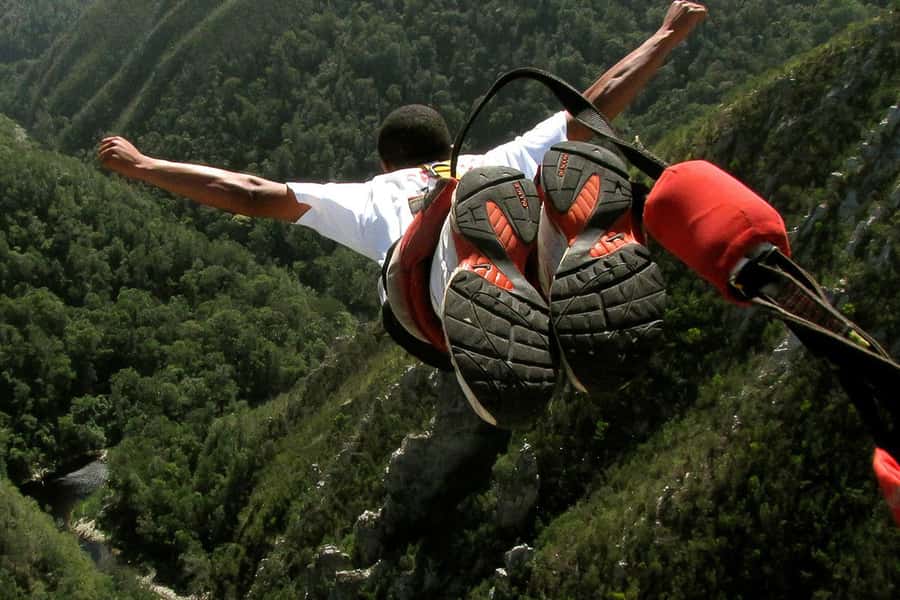 From Cape Town: 3-Day Garden Route Highlights and 4x4 Safari - What the price includes, and what it does not