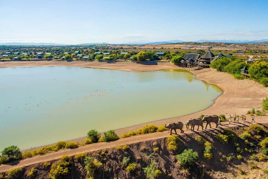 From Cape Town: 3-Day Garden Route Highlights and 4x4 Safari - Cango Caves offers two very different visits