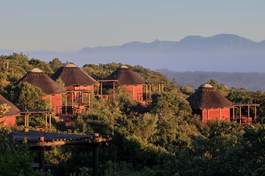 From Cape Town: 3-Day Garden Route Safari and Coastal Tour - Garden Route Game Lodge and the afternoon safari