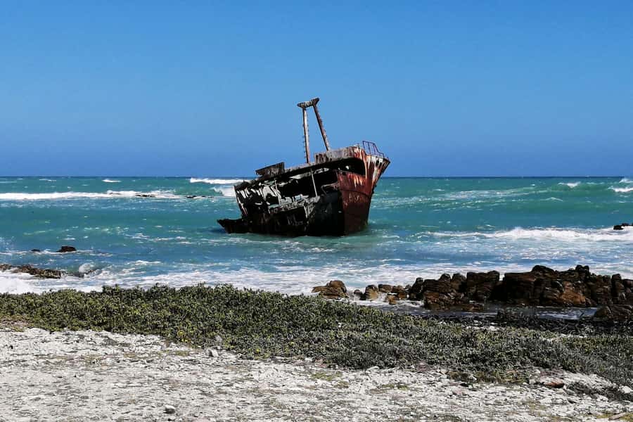 From Cape Town: 3-Day Garden Route Safari and Coastal Tour - The guides can shape the whole trip