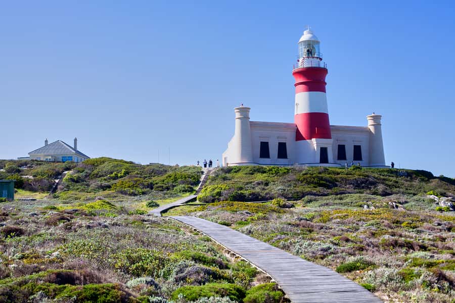 From Cape Town: 3-Day Garden Route Safari and Coastal Tour - Who will enjoy this three-day route