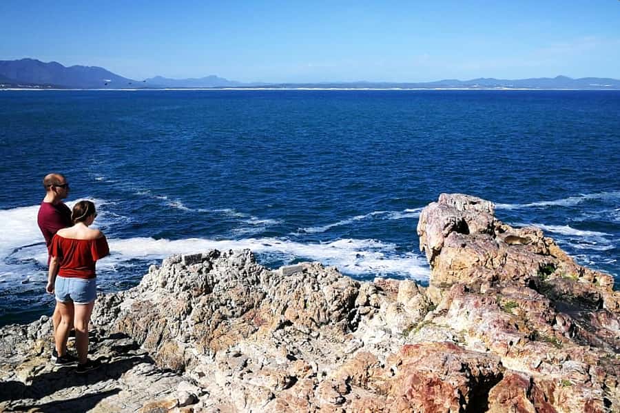 From Cape Town: 3-Day Garden Route Safari and Coastal Tour - Should you book the Garden Route safari tour?