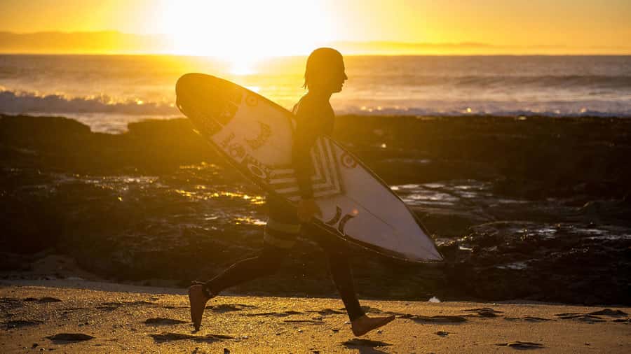From Cape Town: 5-Day Best of Garden Route and Addo Safari - What to pack and who should skip it