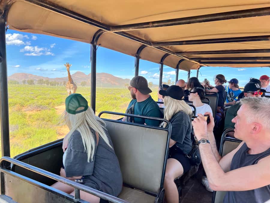 From Cape Town: Big Five Safari Experience with Lunch - Private reserve or national park?