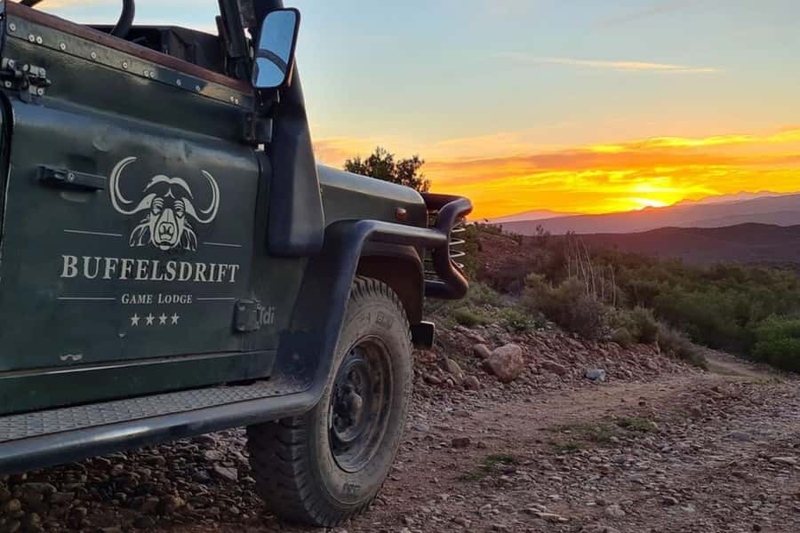 From Cape Town: South African Wildlife and Safari 2-Day Tour - Botlierskop and the first open 4x4 drive