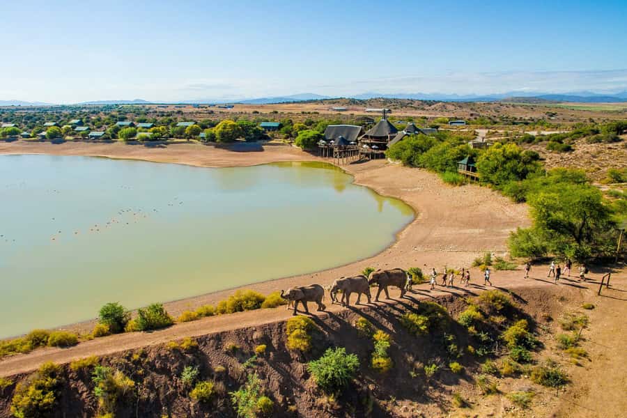 From Cape Town: South African Wildlife and Safari 2-Day Tour - An evening in Oudtshoorn and the Klein Karoo