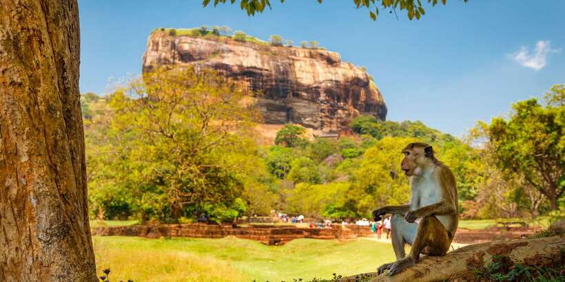 From Colombo: Sigiriya and Dambulla Day Trip with Safari - What the Price Really Includes