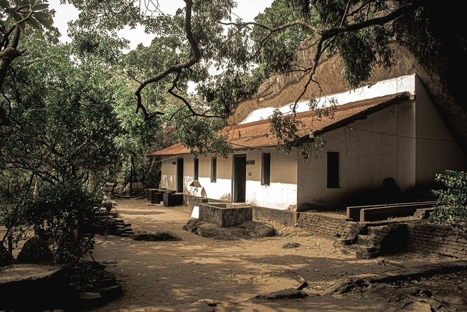 From Colombo to Sigiriya Fortress, Dambulla & Minneriya Safari - Who should book this outing