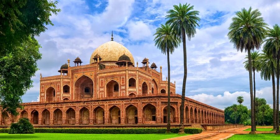 From Delhi: 5-Day Tiger Safari & Golden Triangle Tour - Transport, guides, and the pace of the trip
