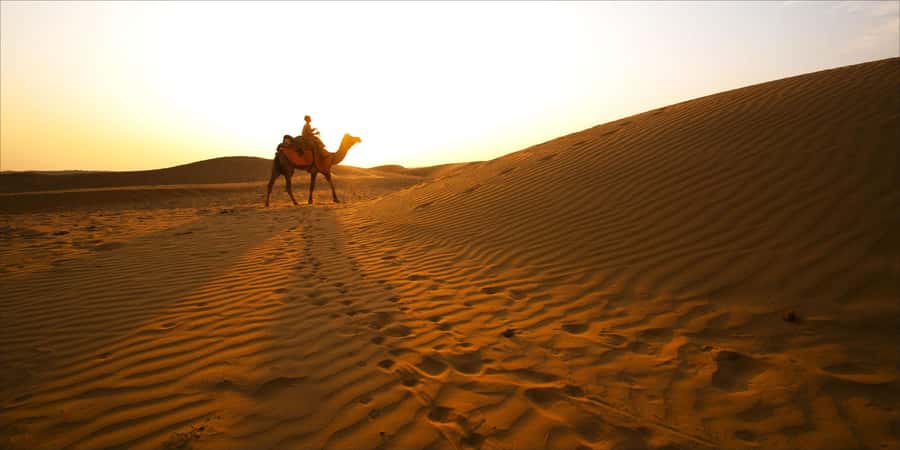 From Doha: 8-hour Safari Tour with Desert Beach Experience - Dune bashing for 90 minutes