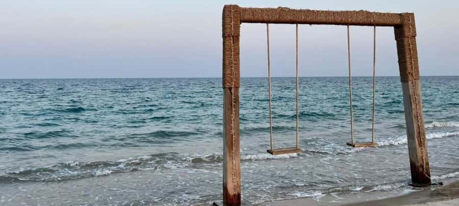 From Doha: 8-hour Safari Tour with Desert Beach Experience - Is $192 per person fair value?